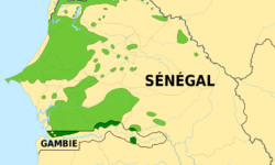 « REMOVAL OF SOTHIEUTES » IN SENEGAL – A TYPE IV FGM?